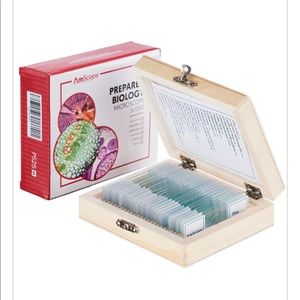 AmScope 25 Prepared Microscope Slides